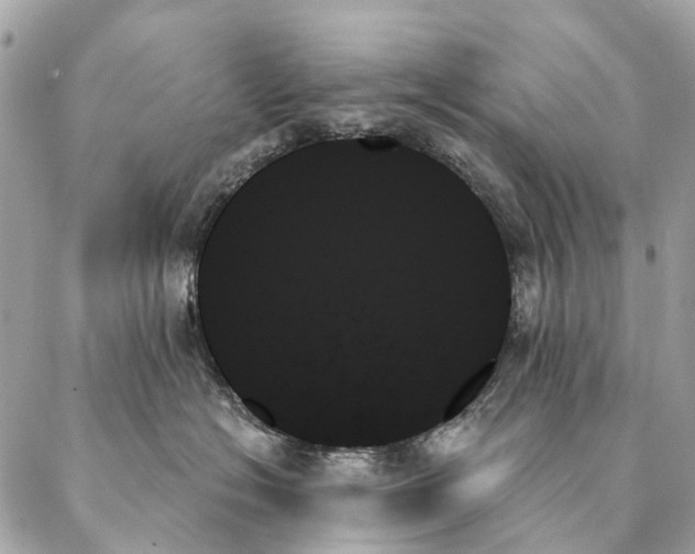 X0000087350574200705111623