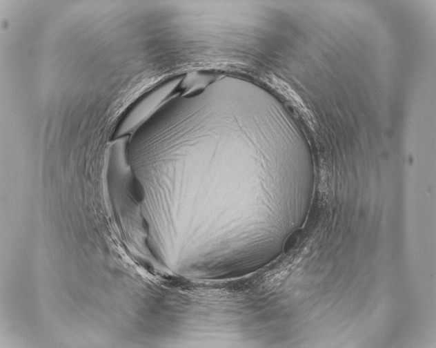 X0000087350577200705111622