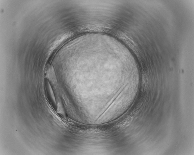 X0000087350578200705111622