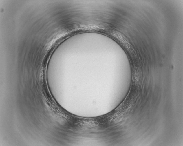 X0000087350583200705111622