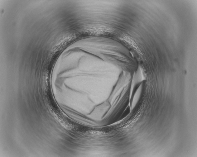 X0000087350590200705111622