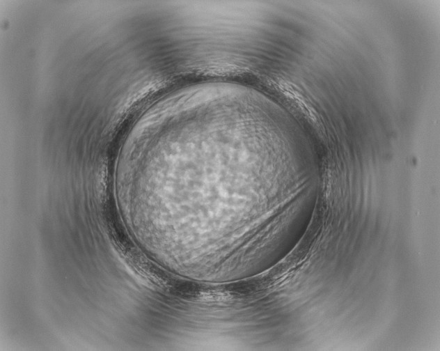 X0000087350591200705111622