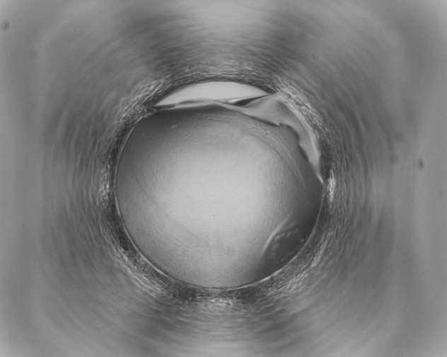 X0000087350593200705111622