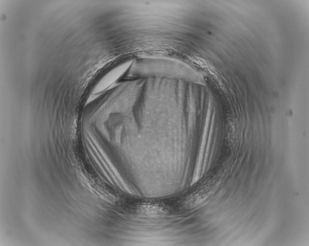 X0000087350596200705111622