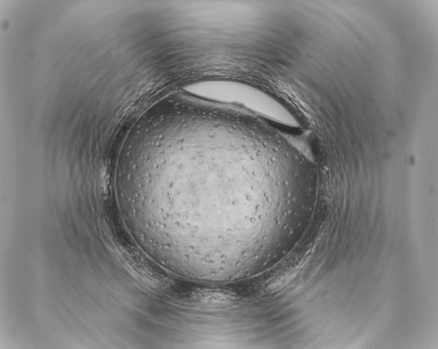 X0000087350597200705111622