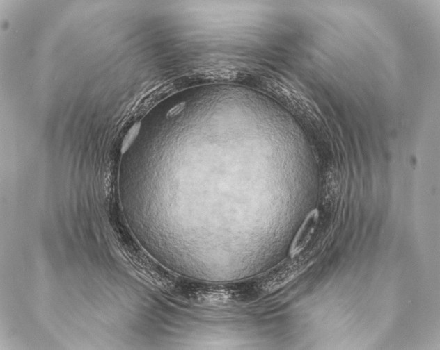 X0000087350600200705111622