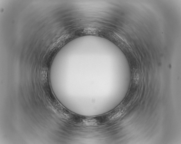 X0000087350603200705111622
