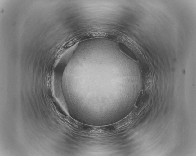 X0000087350604200705111622