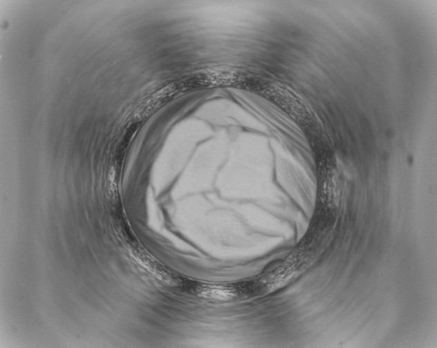 X0000087350610200705111621