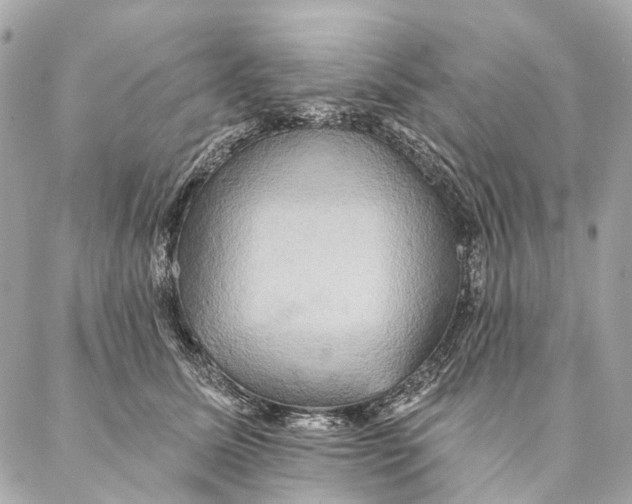 X0000087350611200705111621