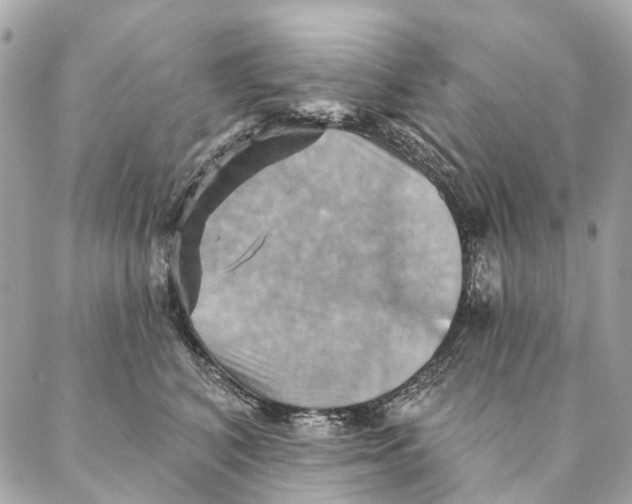 X0000087350616200705111621