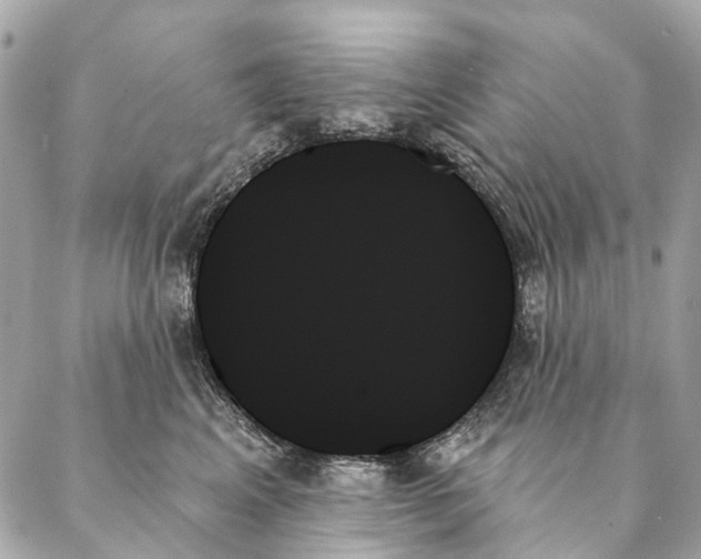 X0000087350617200705111621