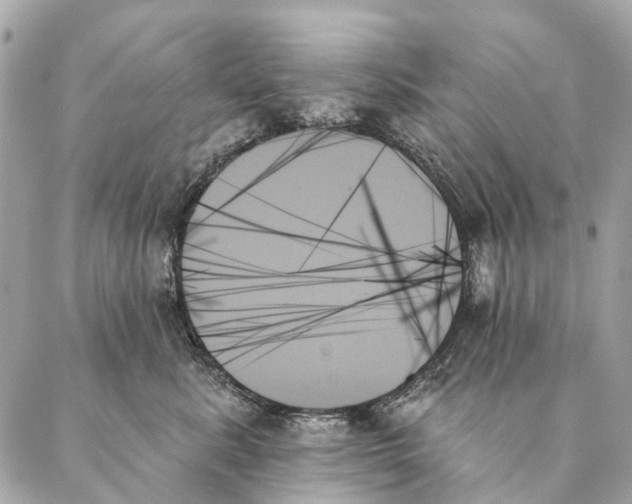 X0000087350619200705111621