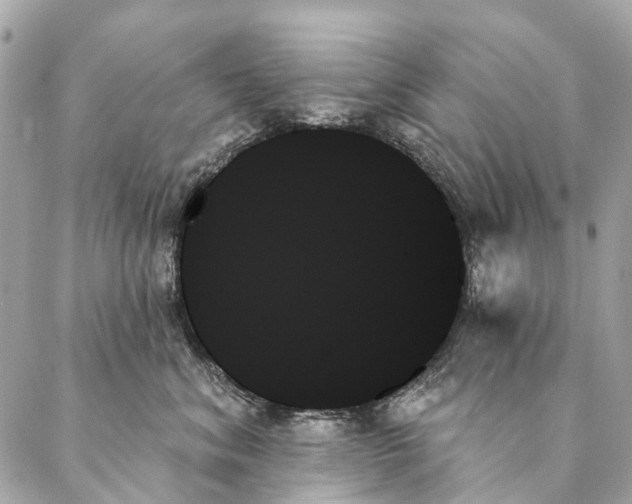 X0000087350620200705111621