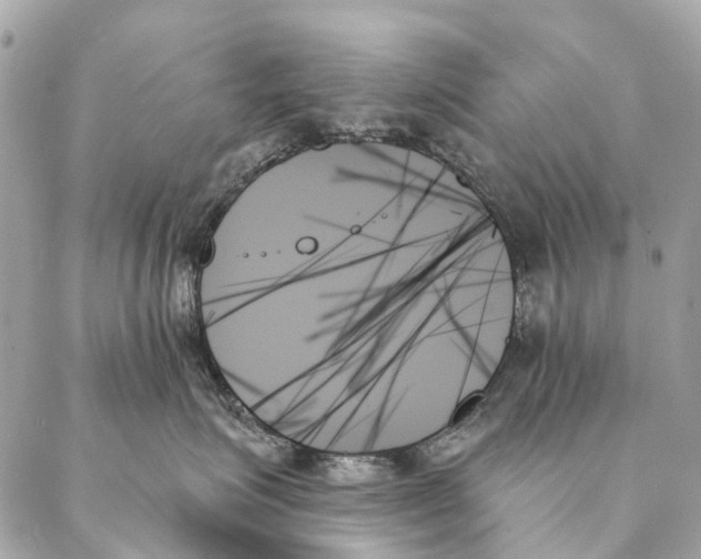 X0000087350623200705111621