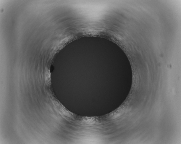 X0000087350624200705111621