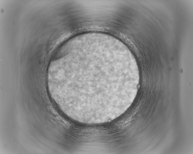 X0000087350625200705111620