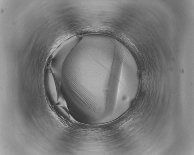 X0000087350626200705111620