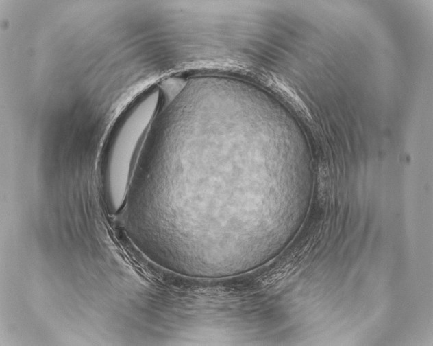 X0000087350628200705111621