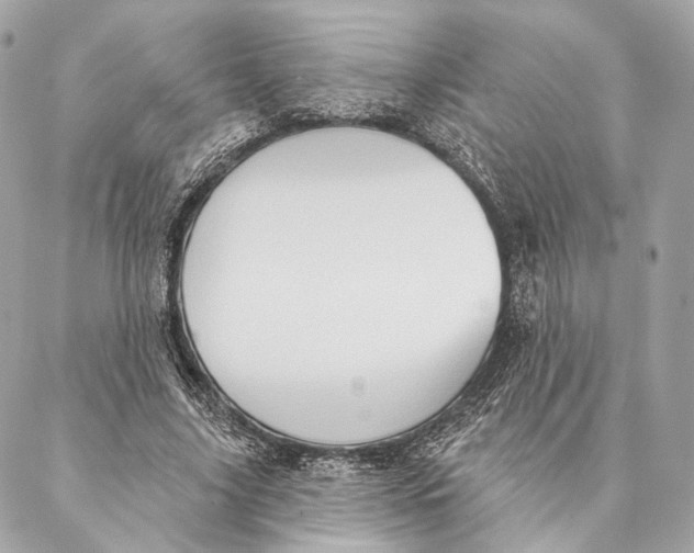 X0000087350635200705111621