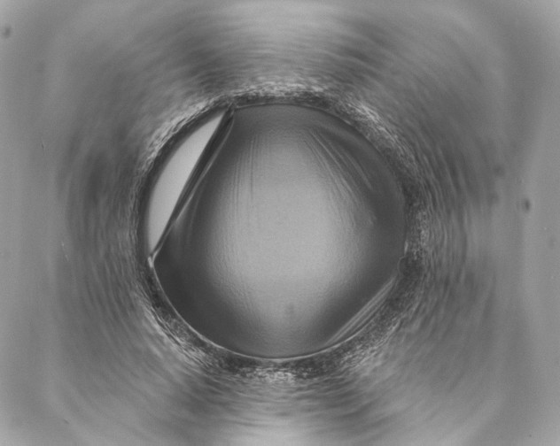 X0000087350640200705111621