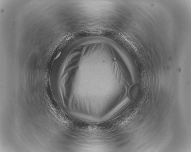 X0000087350641200705111621