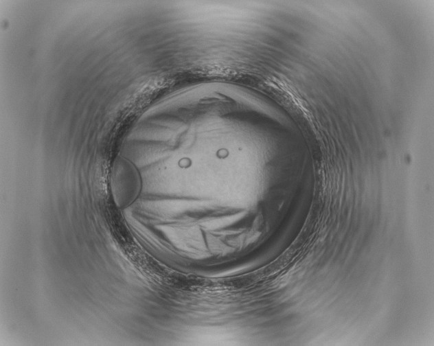 X0000087350643200705111621