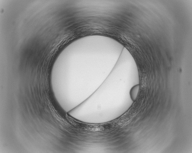 X0000087350646200705111621