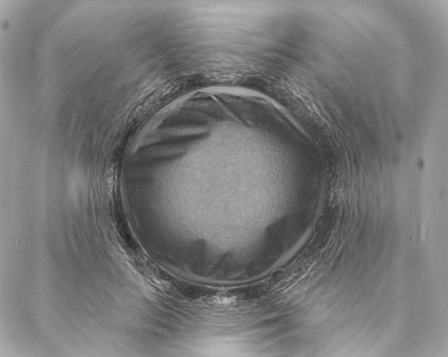 X0000087350647200705111621