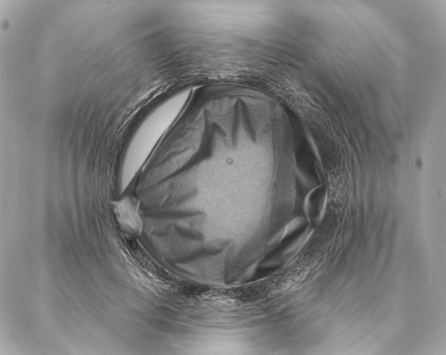 X0000087350648200705111621