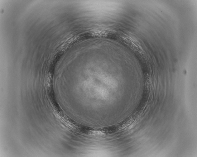 X0000087350649200705111621