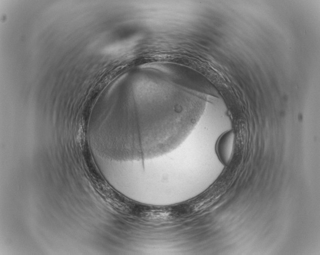 X0000087350651200705111621
