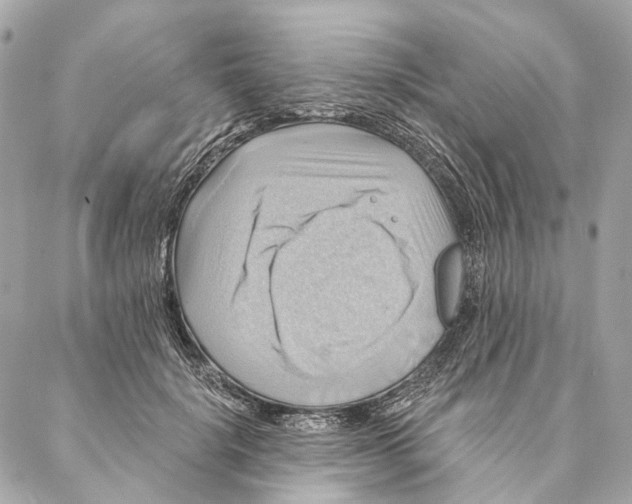 X0000087350652200705111621