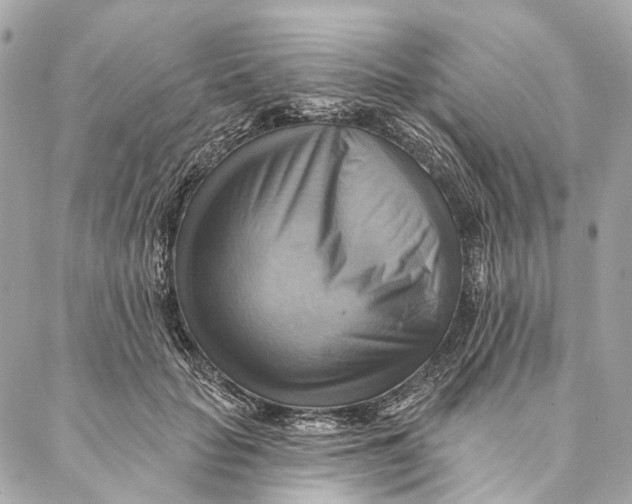 X0000087350653200705111621