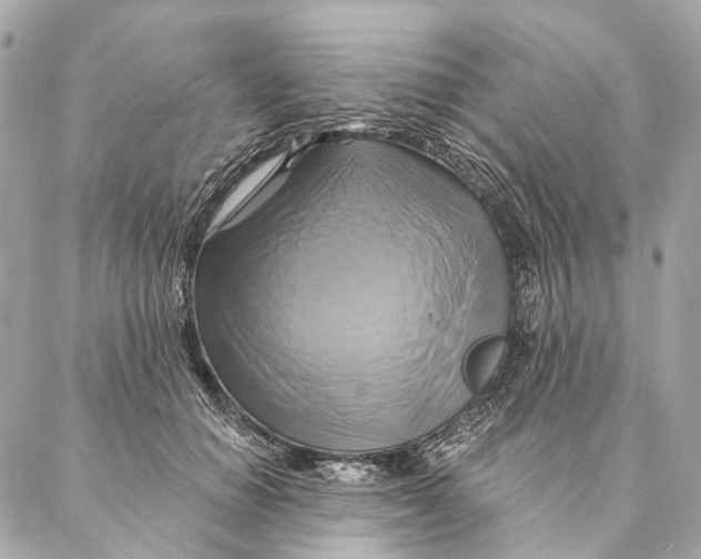X0000087350654200705111621