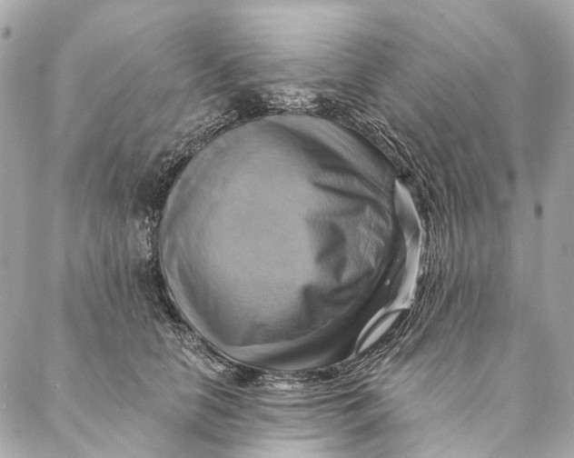 X0000087350658200705111621