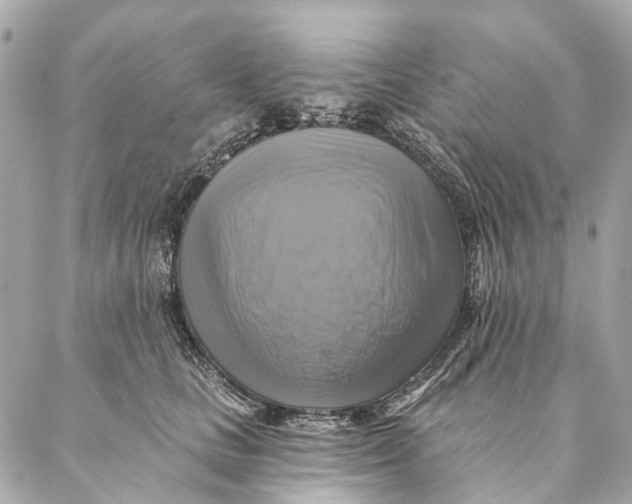 X0000087350661200705111621