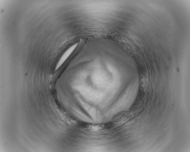 X0000087350662200705111621