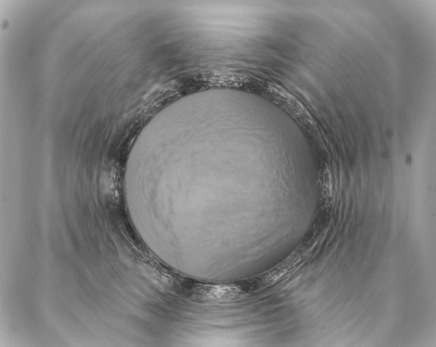 X0000087350663200705111621