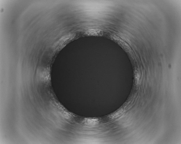 X0000087350665200705111621