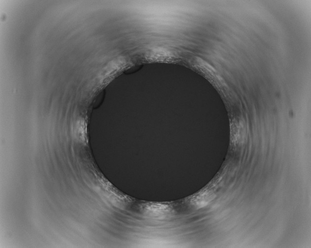 X0000087350669200705111621