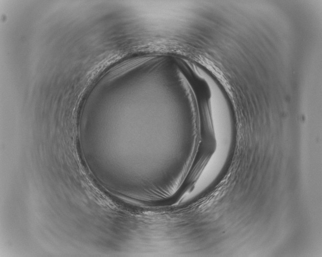 X0000087350673200705111620