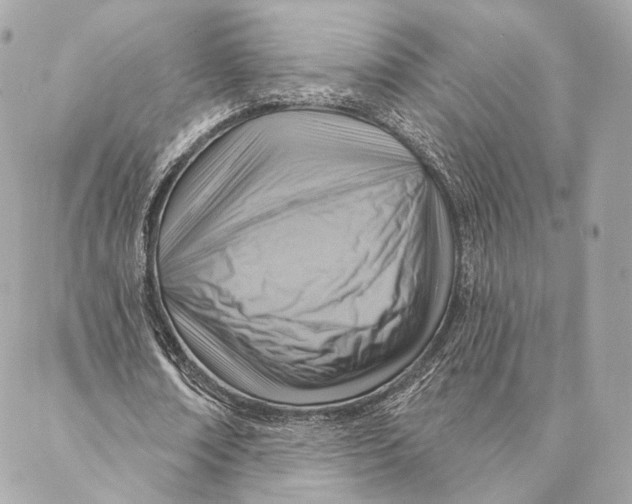 X0000087350674200705111620