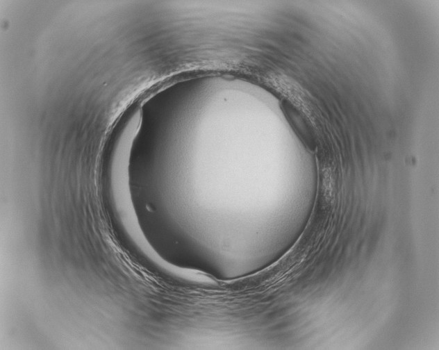 X0000087350676200705111620