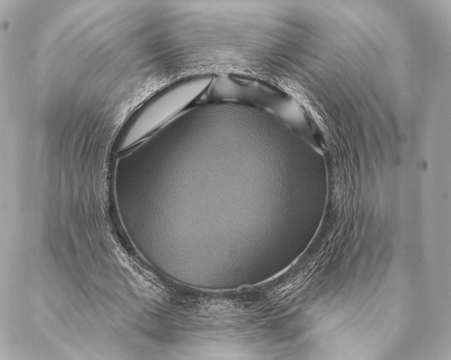 X0000087350677200705111620