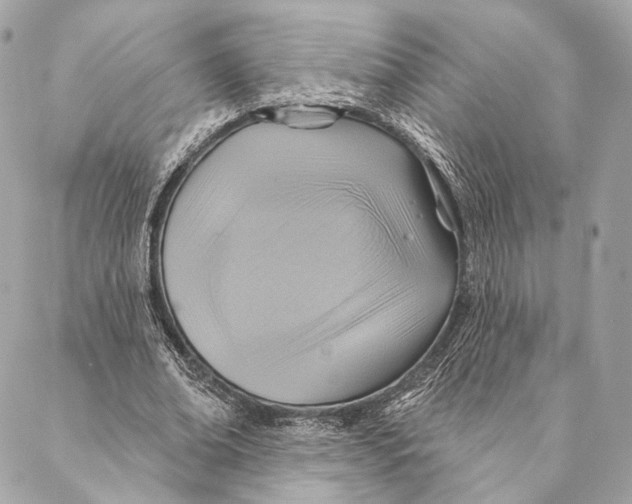 X0000087350678200705111620