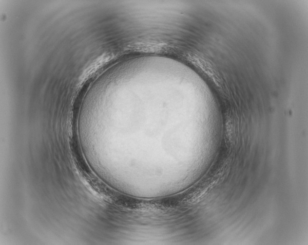 X0000087350682200705111620