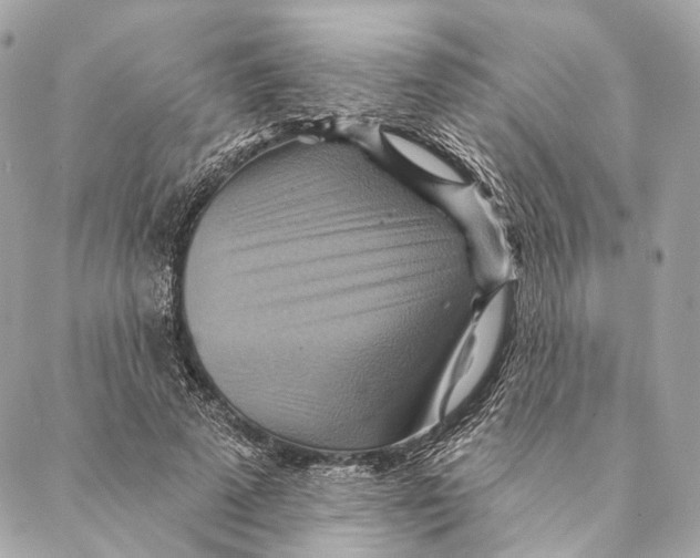 X0000087350689200705111620
