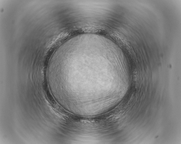 X0000087350690200705111620