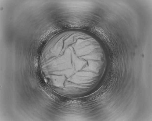 X0000087350691200705111620